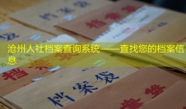 沧州人社档案查询系统——查找您的档案信息