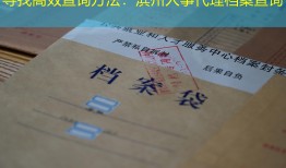 寻找高效查询方法：滨州人事代理档案查询