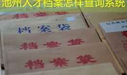 池州人才档案怎样查询系统
