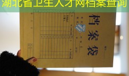 湖北省卫生人才网档案查询