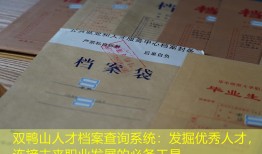 双鸭山人才档案查询系统：发掘优秀人才，连接未来职业发展的必备工具