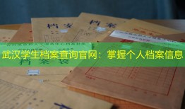 武汉学生档案查询官网：掌握个人档案信息