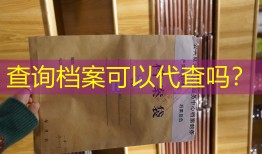 查询档案可以代查吗？
