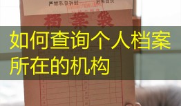 如何查询个人档案所在的机构