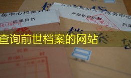 查询前世档案的网站
