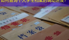 如何查询个人学生档案的调动进度？