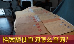 档案随便查询怎么查询？