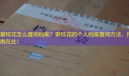 攀枝花怎么查询档案？攀枝花的个人档案查询方法，指南在此！