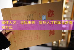 留住人才，寻找未来：宜州人才档案全新查询方式