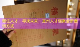 留住人才，寻找未来：宜州人才档案全新查询方式