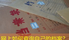 网上如何查询自己的档案？