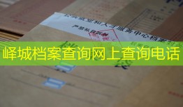 峄城档案查询网上查询电话