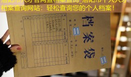 洛阳市人才官网查档案查询_洛阳市个人人才档案查询网站：轻松查询您的个人档案！