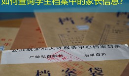 如何查询学生档案中的家长信息？