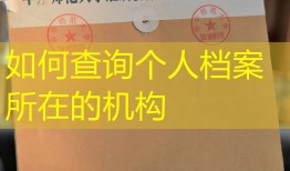 如何查询个人档案所在的机构