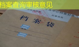 档案查询审核意见