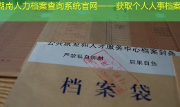 湖南人力档案查询系统官网——获取个人人事档案