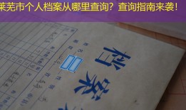 莱芜市个人档案从哪里查询？查询指南来袭！