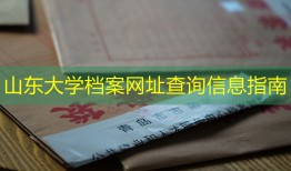 山东大学档案网址查询信息指南