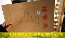陕西省理科档案查询：精准查阅理科人才履历