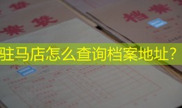 驻马店怎么查询档案地址？
