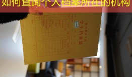 如何查询个人档案所在的机构