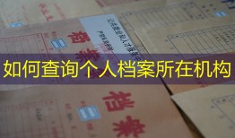 如何查询个人档案所在机构