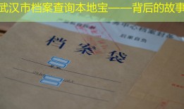 武汉市档案查询本地宝——背后的故事