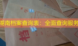 湖南档案查询表：全面查询服务