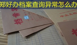 郑好办档案查询异常怎么办