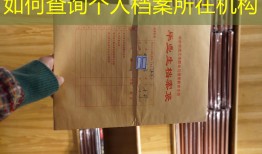 如何查询个人档案所在机构