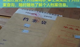 黑龙江查询个人档案app_掌上黑龙江个人档案查询，随时随地了解个人档案信息。