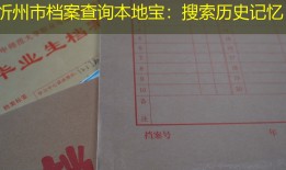 忻州市档案查询本地宝：搜索历史记忆
