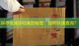 探寻溆浦县档案的秘密：如何快速查询？