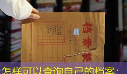 怎样可以查询自己的档案：