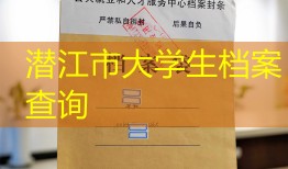 潜江市大学生档案查询
