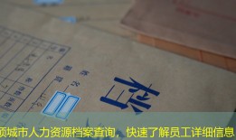 项城市人力资源档案查询，快速了解员工详细信息