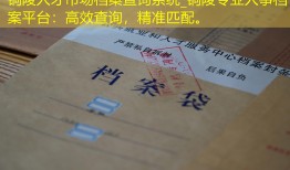 铜陵人才市场档案查询系统_铜陵专业人事档案平台：高效查询，精准匹配。