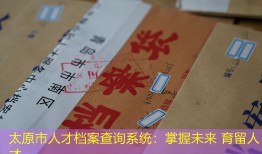 太原市人才档案查询系统：掌握未来 育留人才