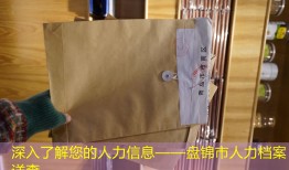 深入了解您的人力信息——盘锦市人力档案详查