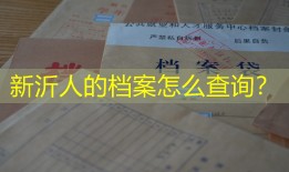 新沂人的档案怎么查询？