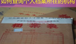 如何查询个人档案所在的机构
