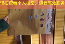 轻松查看个人档案，感受高效服务