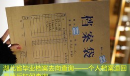 湖北省毕业档案去向查询——个人档案退回原籍后如何查询