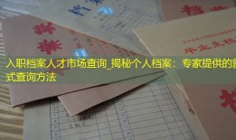 入职档案人才市场查询_揭秘个人档案：专家提供的新式查询方法
