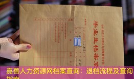 嘉善人力资源网档案查询：退档流程及查询指南