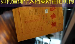 如何查询个人档案所在的机构