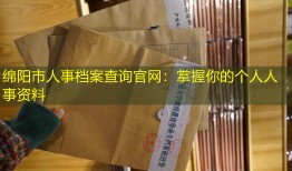 绵阳市人事档案查询官网：掌握你的个人人事资料