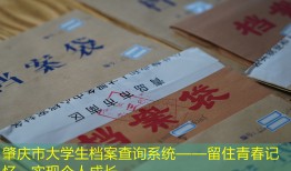 肇庆市大学生档案查询系统——留住青春记忆，实现个人成长