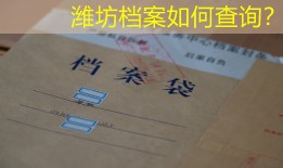 潍坊档案如何查询？